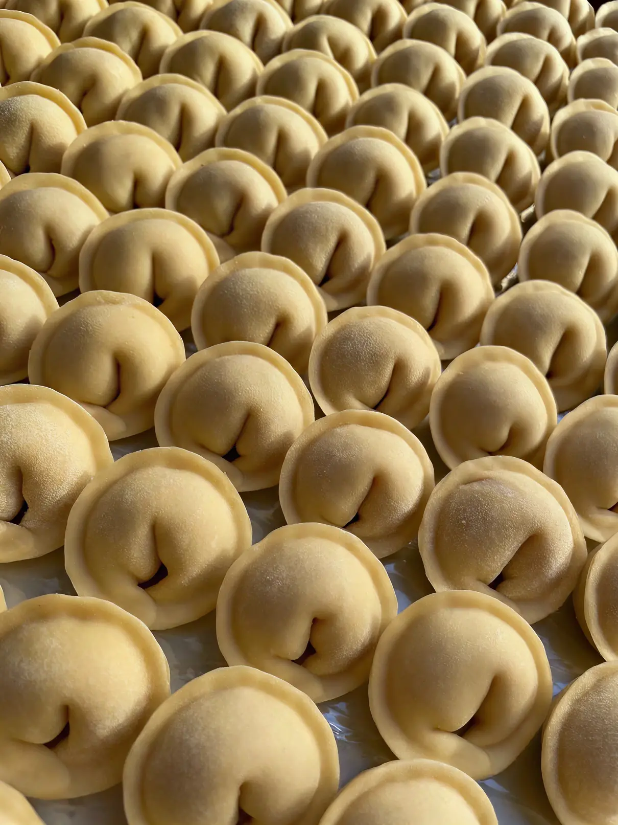 Produse SLAVENA